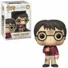 K-Dog & Fish HARRY POTTER AND THE PHILOSOPHER'S STONE (20TH ANNIVERSARY) - HARRY WITH STONE